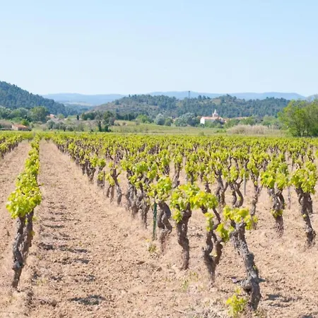 In Soleil D'oc Near Minervois Vineyards, Cleaning Included Σπίτι διακοπών