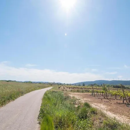 In Soleil D'oc Near Minervois Vineyards, Cleaning Included Σπίτι διακοπών