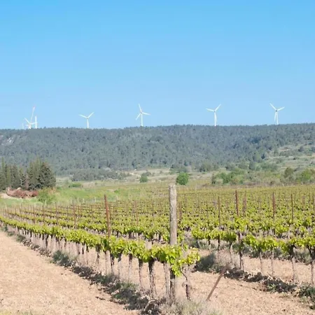 In Soleil D'oc Near Minervois Vineyards, Cleaning Included
